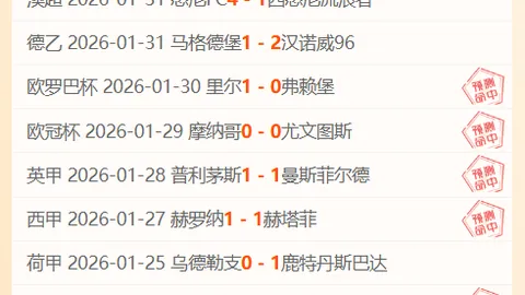 胜利力促加布里埃尔加盟，签下2000万欧税后高薪协议